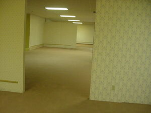 File:Thebackrooms.jpeg